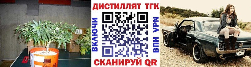 купить закладку  Санкт-Петербург  ТГК вейп с тгк 
