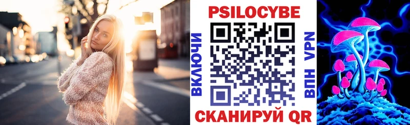 Галлюциногенные грибы Psilocybine cubensis купить сайты Санкт-Петербург