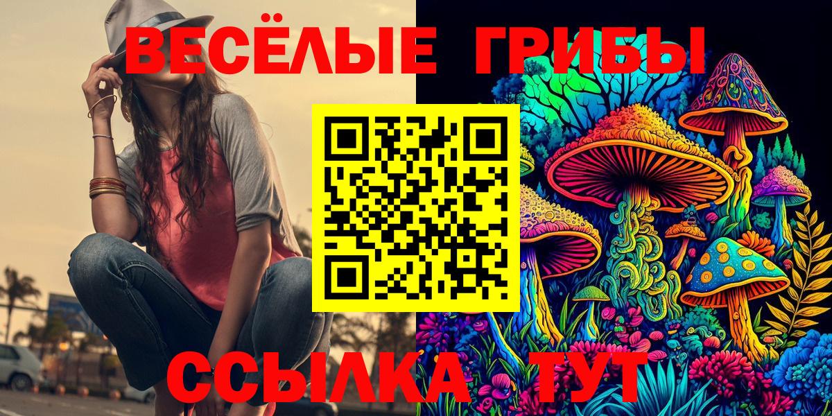 Санкт-Петербург  Псилоцибиновые грибы Magic Shrooms  Вход с VPN 