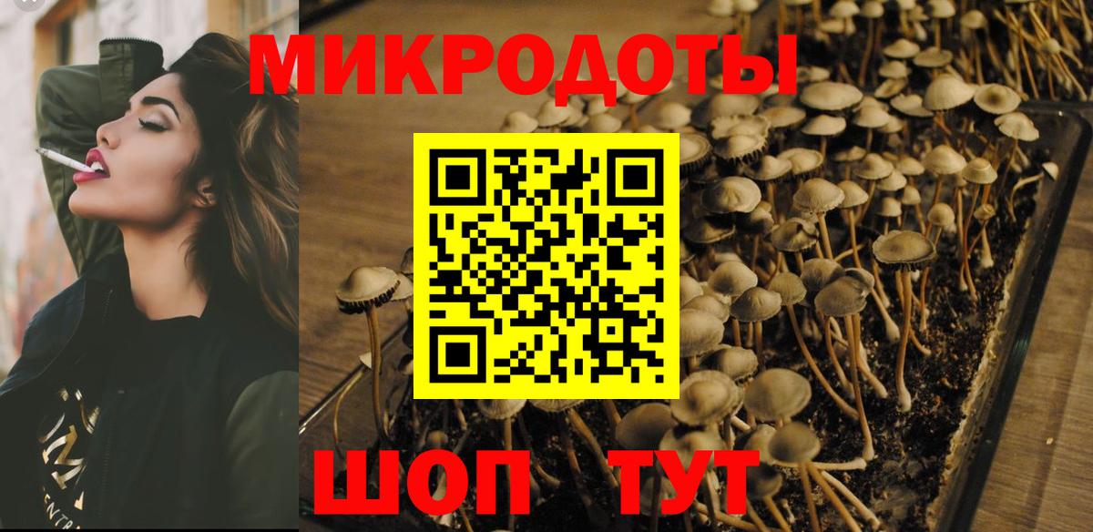 Галлюциногенные грибы мухоморы Санкт-Петербург