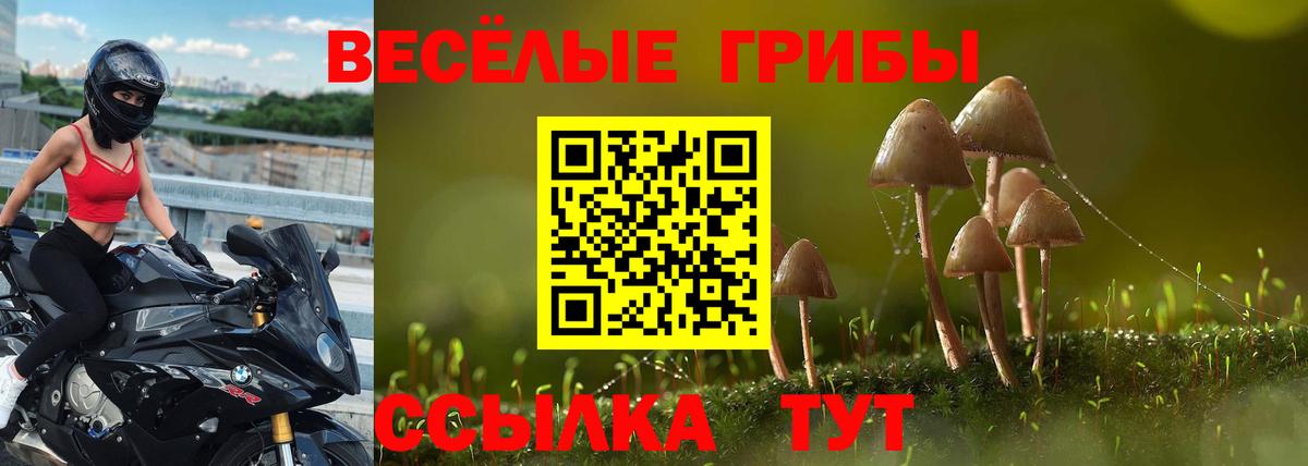 Галлюциногенные грибы Magic Shrooms Санкт-Петербург